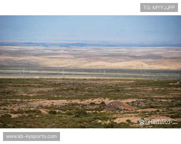 全景追踪：每个弯道背后的艰难挑战，全景示意图
